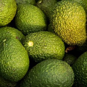 Avocats biologiques Bacon — Caisse de 4 kg